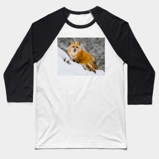 Red Fox 1 Baseball T-Shirt